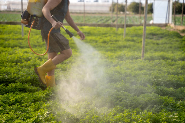Best Pest Removal Services  in Malibu, CA
