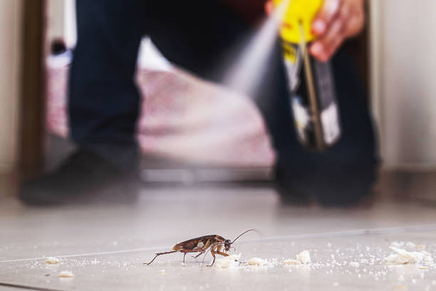 Best Commercial Pest Control Services  in Malibu, CA